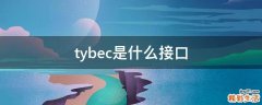 tybec是什么接口