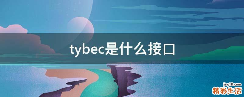 tybec是什么接口