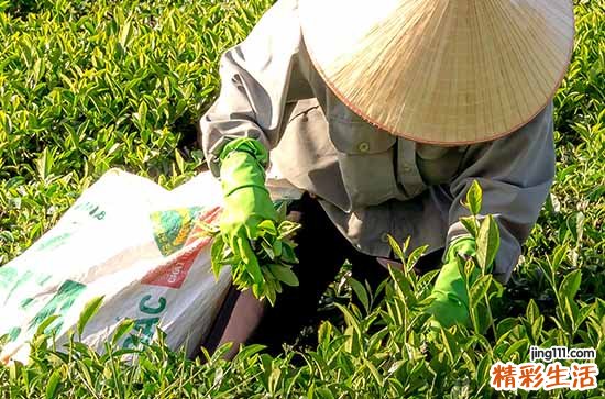 2023年劳动节祝福语 2023庆祝五一的祝福语大全