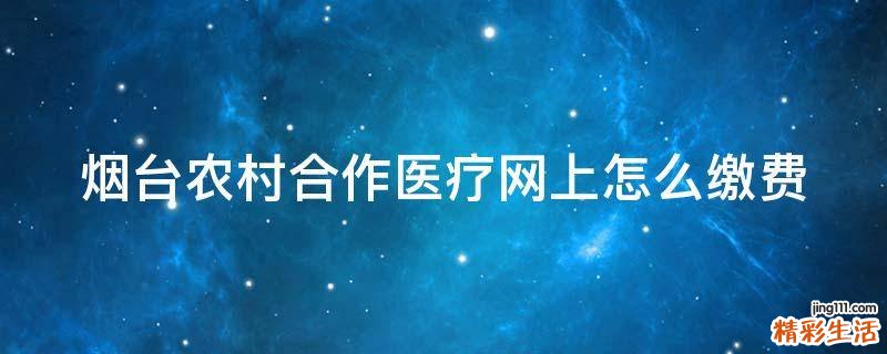 烟台农村合作医疗网上怎么缴费