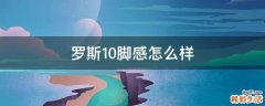 羅斯10腳感怎么樣