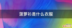 菠萝衫是什么衣服