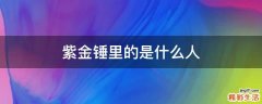 紫金锤里的是什么人