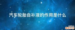 汽车轮胎自补液的作用是什么
