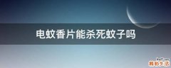 电蚊香片能杀死蚊子吗
