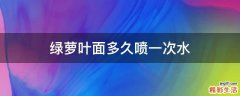 绿萝叶面多久喷一次水