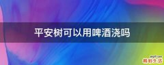 平安树可以用啤酒浇吗