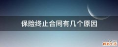 保险终止合同有几个原因