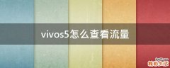 vivos5怎么查看流量