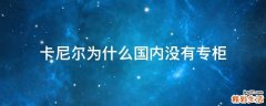 卡尼尔为什么国内没有专柜