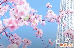 七夕情人节浪漫文案简短 七夕情人节浪漫句子
