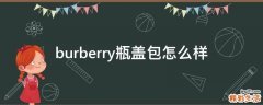 burberry瓶盖包怎么样