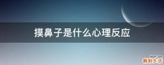 摸鼻子是什么心理反應(yīng)