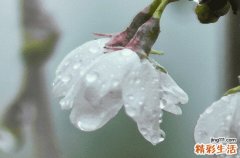 谷雨立碑好吗 立碑有什么讲究