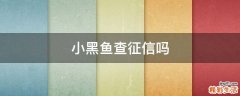 小黑鱼查征信吗