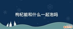 枸杞能和什么一起泡吗