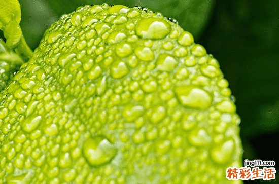 2023年谷雨前后能出门吗 谷雨前一天是绝日子吗