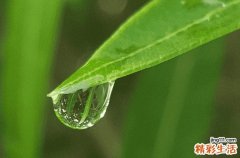 2023年谷雨后一天是黄道吉日吗 谷雨后几天是土旺日