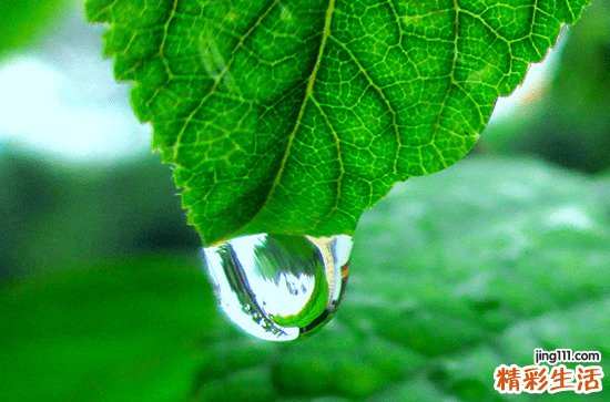 谷雨后一天下雨有什么说法