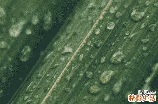 谷雨有什么愛情寓意 有什么關(guān)于谷雨的愛情傳說