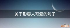 關(guān)于形容人可愛的句子