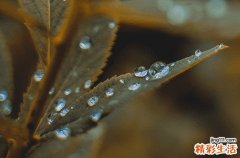 谷雨祭祀仓颉说明了什么 谷雨祭祀仓颉有什么意义
