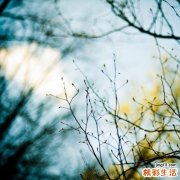 這些淋菌性炎癥有哪些表現