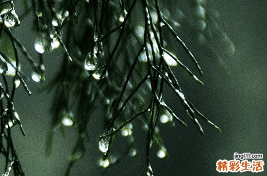 谷雨節(jié)氣的特點和風(fēng)俗有哪些 谷雨節(jié)氣的風(fēng)俗有哪些