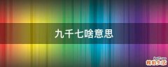 九千七啥意思