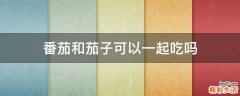 番茄和茄子可以一起吃吗