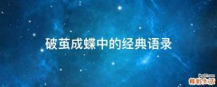 破茧成蝶中的经典语录