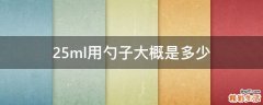2.5ml用勺子大概是多少