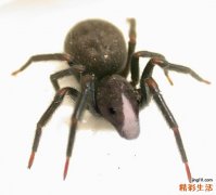 三叉神经痛的非药物疗法！
