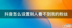 抖音怎么设置别人看不到我的粉丝