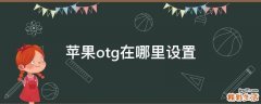 苹果otg在哪里设置