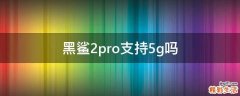 黑鲨2pro支持5g吗