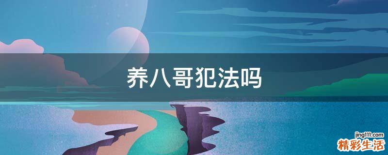 养八哥犯法吗