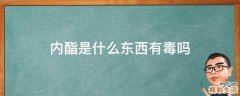 内酯是什么东西有毒吗