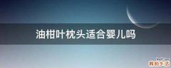 油柑叶枕头适合婴儿吗