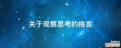 关于观察思考的格言