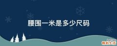 腰围一米是多少尺码