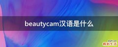 beautycam汉语是什么
