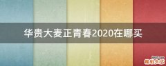 华贵大麦正青春2020在哪买