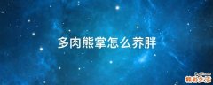 多肉熊掌怎么养胖