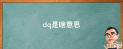 dq是啥意思