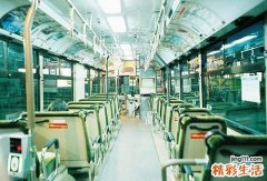 夏季吃什么鱼好