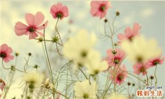 夏季防晒的好处