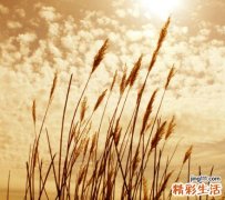 虚火牙痛怎么办