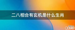 二八相合有玄机是什么生肖