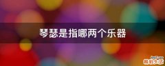 琴瑟是指哪两个乐器